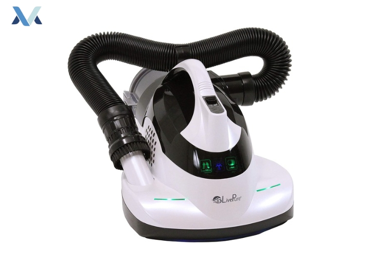 6 Best Vacuum for Dust Mite Allergies