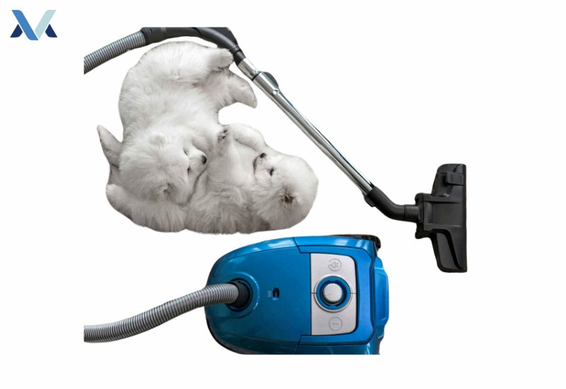 Best Vacuum Cleaners for Allergies in Australia: Pet Owner’s Guide