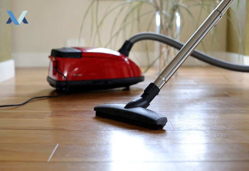 5 Best Canister Vacuums for Everyone