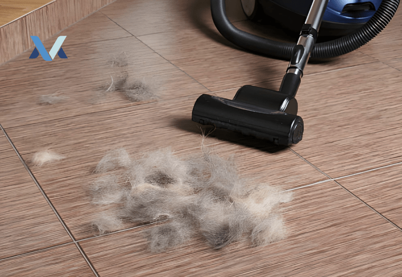 Best Vacuum Cleaners for Pet Owners