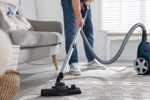 Dyson Big Ball Multi Floor 2 Review
