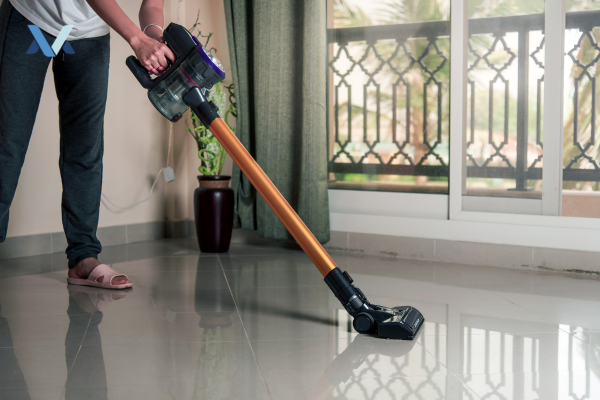 Dyson Ball Animal Origin Upright Vacuum Cleaner Review