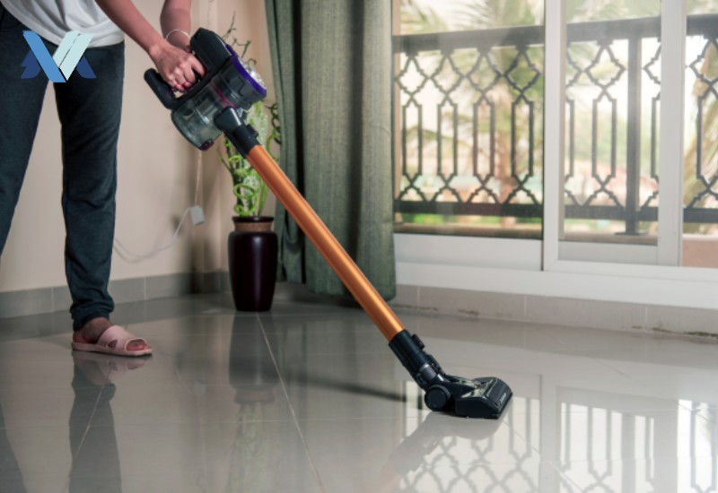 Dyson Ball Animal Origin Upright Vacuum Cleaner Review