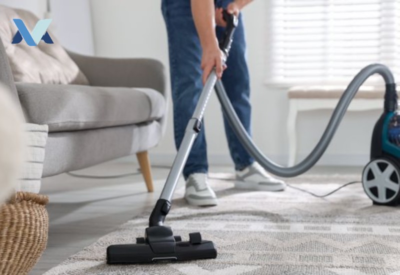 Dyson Big Ball Multi Floor 2 Review